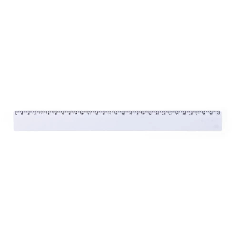 Régua Plástica 30cm